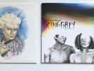 The Front Bottoms - Rose & Going Grey Vinyl Lp Bundle Coloured Alternative Indie