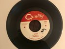 KING-BEEZZ,   rock  PUNK GARAGE   60'S