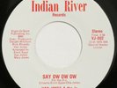 VAN JONES & J’s Say Ow Ow / Let’s Go Disco INDIAN RIVER 45 soul funk VG+ HEAR