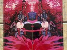 BLUE MOUNTAIN EAGLE   SELF TITLED   1969   ATCO RT 324   PSYCHEDELIC