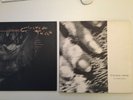 2 x Cocteau Twins, Treasure, Blu Bell Knoll original Vinyl