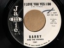 Barry & The Vikings JAMIE 1281 VG+ WHITE LABEL PROMO 
