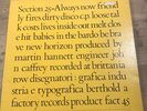 SECTION 25 Always now vinyl album Factory Records fact 45