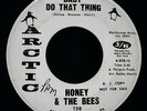 HONEY & THE BEES Baby Do That Thing?Rare Northern Soul Promo Rock 45 ARCTIC #158