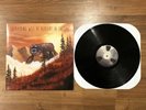 Weezer - Everything Will Be Alright In The End Vinyl LP RARE and Out of Print