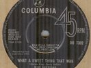 MIKE SHERIDAN & NIGHT RIDERS*WHAT A SWEET THING THAT WAS*BEAT*COLUMBIA*LISTEN