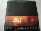 Avalon Sunset VAN MORRISON VINYL LP ALBUM 1989 MERCURY RECORDS  CONEY ISLAND