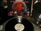 Iron Butterfly In-A-Gadda-Da-Vida Atlantic Autographed Ron Bushy SP Press NM