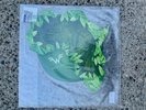 WEEZER AFRICA ROSANNA PICTURE DISC 10