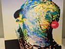 ELECTRIBE 101 Electribal Memories UK VINYL LP Electronic House  deep house