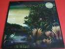 FLEETWOOD MAC - TANGO IN THE NIGHT - 12
