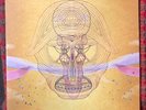 DEVENDRA BANHART 12