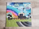 Signed Modest Mouse - Golden Casket - 2LP Vinyl Autographed