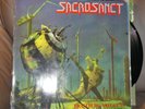 Sacrosanct-Truth is What is LP-1990 Germany-Death Metal-33 U/min-Album-No Remors