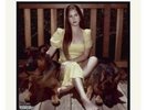 Lana Del Rey: Blue Banisters (2LP/GF/RED)  LP vinyl *SEALED*