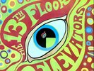 13th FLOOR ELEVATORS – THE PSYCHEDELIC SOUND OF – US – LP – 1966 – PSYCH/GARAGE