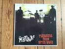 THE METEORS- TEENAGERS FROM OUTER SPACE (PSYCHOBILLY/PUNK)