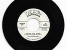 RARE DOO WOP 45 TERRACETONES RIDE OF PAUL REVERE ON APT VG+ ORIGINAL PROMO