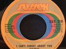 70s Soul 45 THE DECISIONS I Can't Forget About You SUSSEX listen