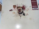 Bartees Strange - Live forever.  Bone white and black swirl vinyl.  new & sealed