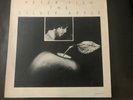 vinyl lp record Peter Fish, The Silver Apple, Ellipsoid 6123, 1975.