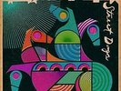 Widespread Panic - Street Dogs 2LP NEW