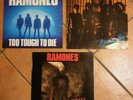 3 x LP Ramones: Animal Boy (1986), Brain Drain (1989), Too Tough To Die (1984)