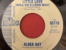 Alder Ray - A Little Love / Cause I Love Him - Liberty - RARE SOUL 45 HEAR