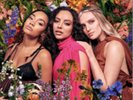 Little Mix-Between Us (UK IMPORT) VINYL NEW