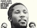 Toots And The Maytals - In The Dark Vinyl