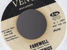 Orig WL Promo THE ETHICS Farewell / I Want My Baby Back 45 Vent Soul