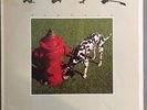 Rush Signals Mercury Lp US Press Ex Vinyl Inner Sleeve Masterdisk