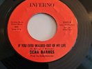 DENA BARNES- IF YOU EVER WALKED OUT OF MY LIFE- 70'S REISSUE- NORTHERN SOUL
