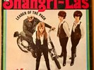 THE SHANGRI-LAS  Leader of the Pack  RED BIRD RB 20-101 MONO DG ORIGINAL 1965 LP