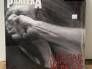 pantera vulgar display of power White & True Metal Gray Vinyl US Neu/OVP