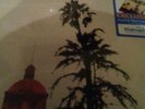 EAGLES - LIVE AT THE FORUM 76 2-LP w/Tour Laminate - SEALED Free shipping