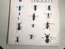 Syd Barrett - Syd Barrett - Self Titled UK 1st Press - Textured Sleeve - VG+/VG