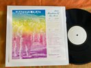 The Grateful Dead Mountains Of The Moon Rare vinyl LP