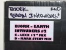 BJORK Earth Intruders Remixes (White Label Remixes 2007) Rare 2 Track Single 12”