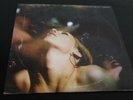 Deftones Saturday Night Wrist Vinyl Record NM