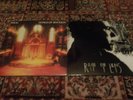 SMOG Bill Callahan 2 Vinyl LPs: Rain On Lens, Dongs Of Sevotion (Drag City)