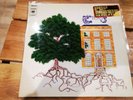Disque vinyle 33 tours du Groupe Trees : The Garden Of Jane Delawney OG de 1970.