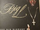 Big L- The Big Picture LP (1974-1999) Rawkus , Guru, Big Daddy Kane, Fat Joe