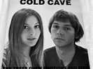 Cold Cave—The Trees Grew Emotions And Died—Limited Vinyl—Ships Fast