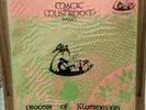 Magic Mushroom Band - Process Of Illumination Vinyl Lp Album 1990