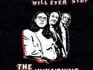 The Unknowns - Nothing Will Ever Stop - (Black Vinyl) (LP)
