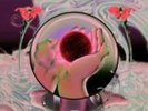 Magdalena Bay - Mercurial World (LP)