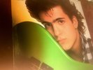DWEEZIL ZAPPA - HAVIN' A BAD DAY - VINYL LP -SEALED 1986 - MINT -BARK PUMPKIN -