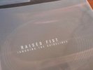 Raised Fist - Ignoring the guidelines (Vinyl, 2000)