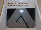 Alison Limerick - Where Love Lives 12